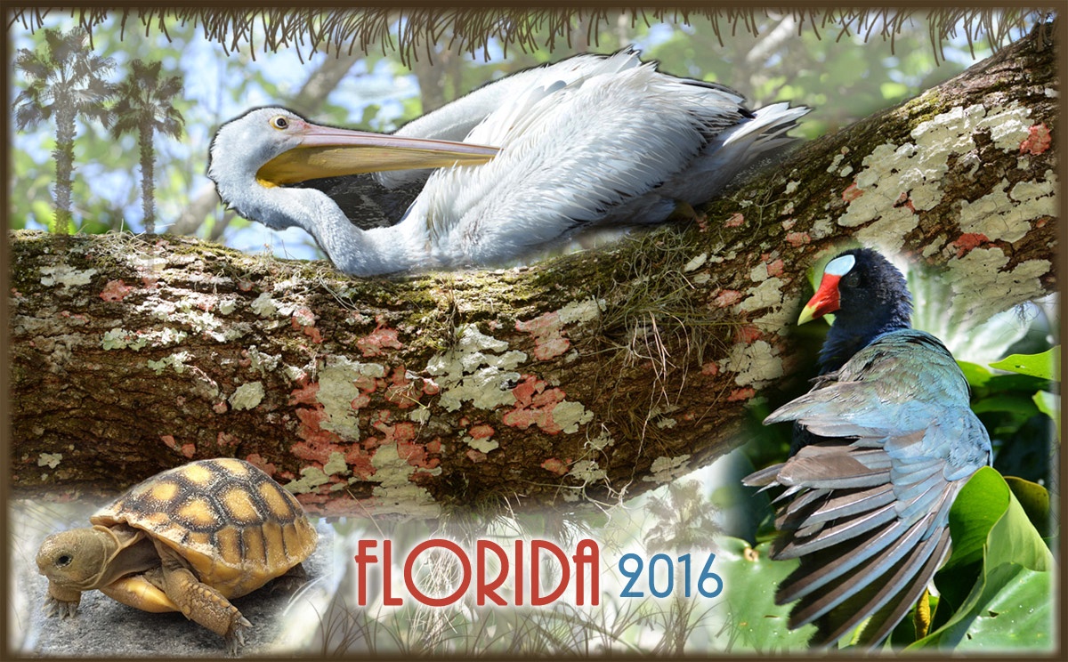 Florida