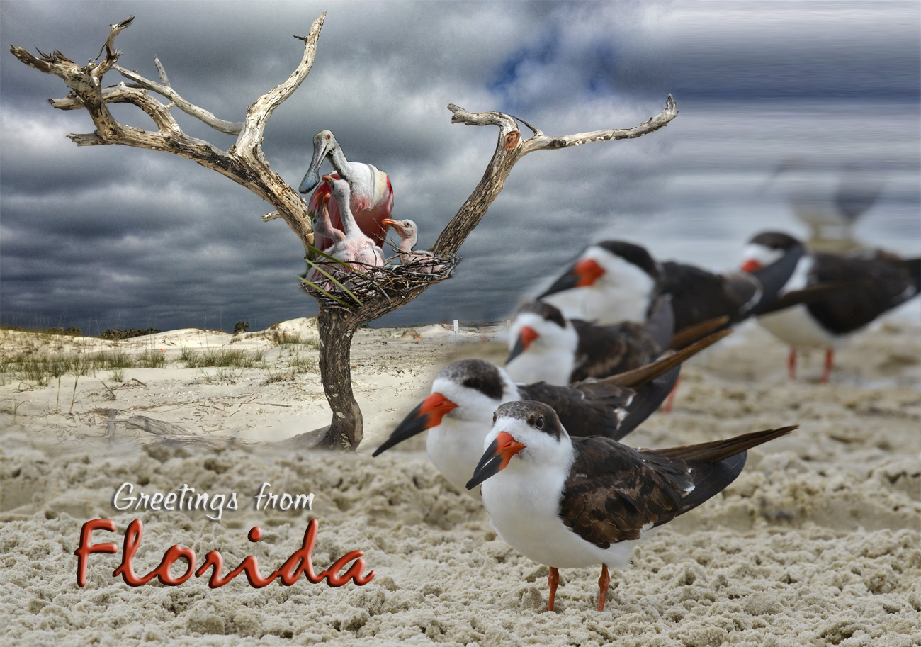 Florida