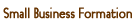 Small Business Formation
